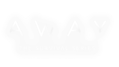 Breaking Walls logo