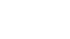 Wonderstruck logo