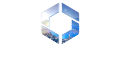 Colossal Order logo