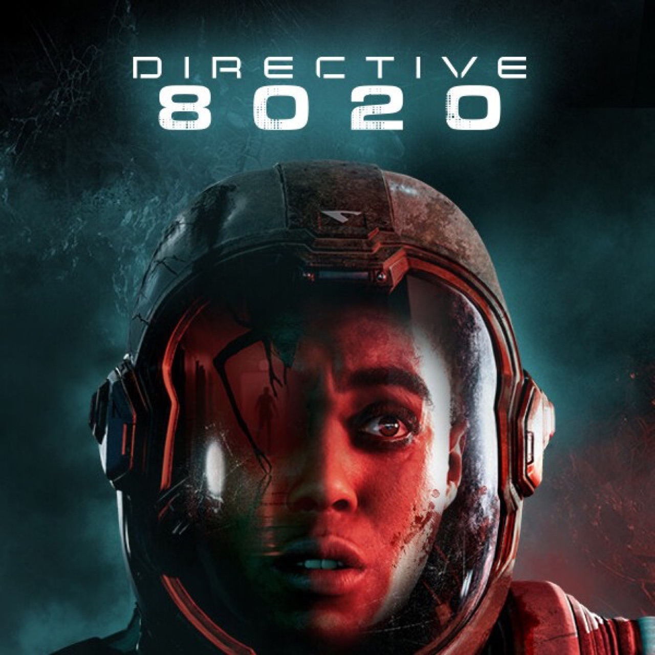 Directive 8020 screenshot