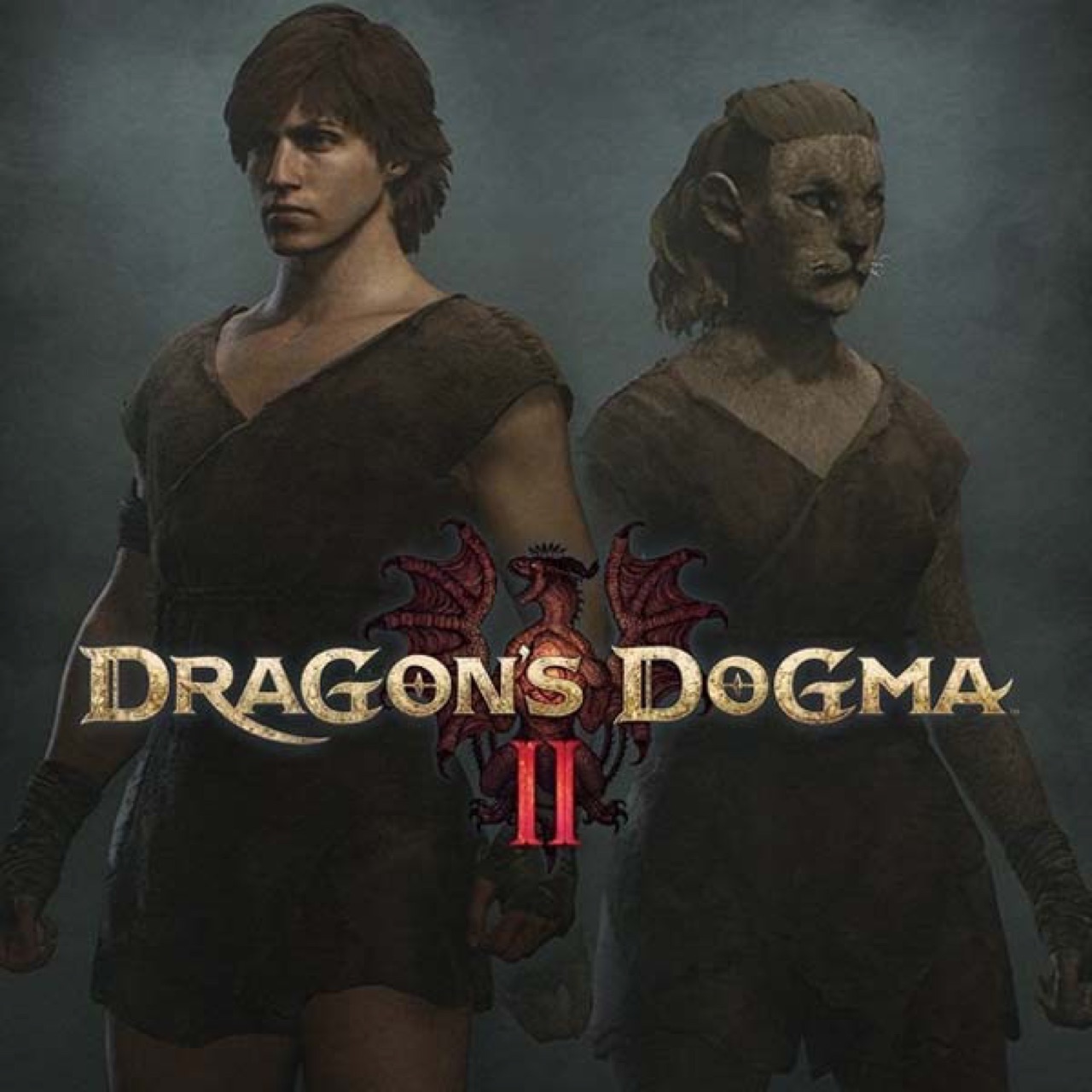Dragon's Dogma 2 Character Creator & Storage screenshot