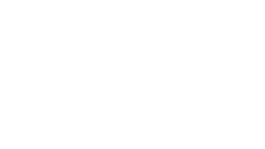 Spiders logo