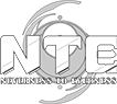 NTE logo