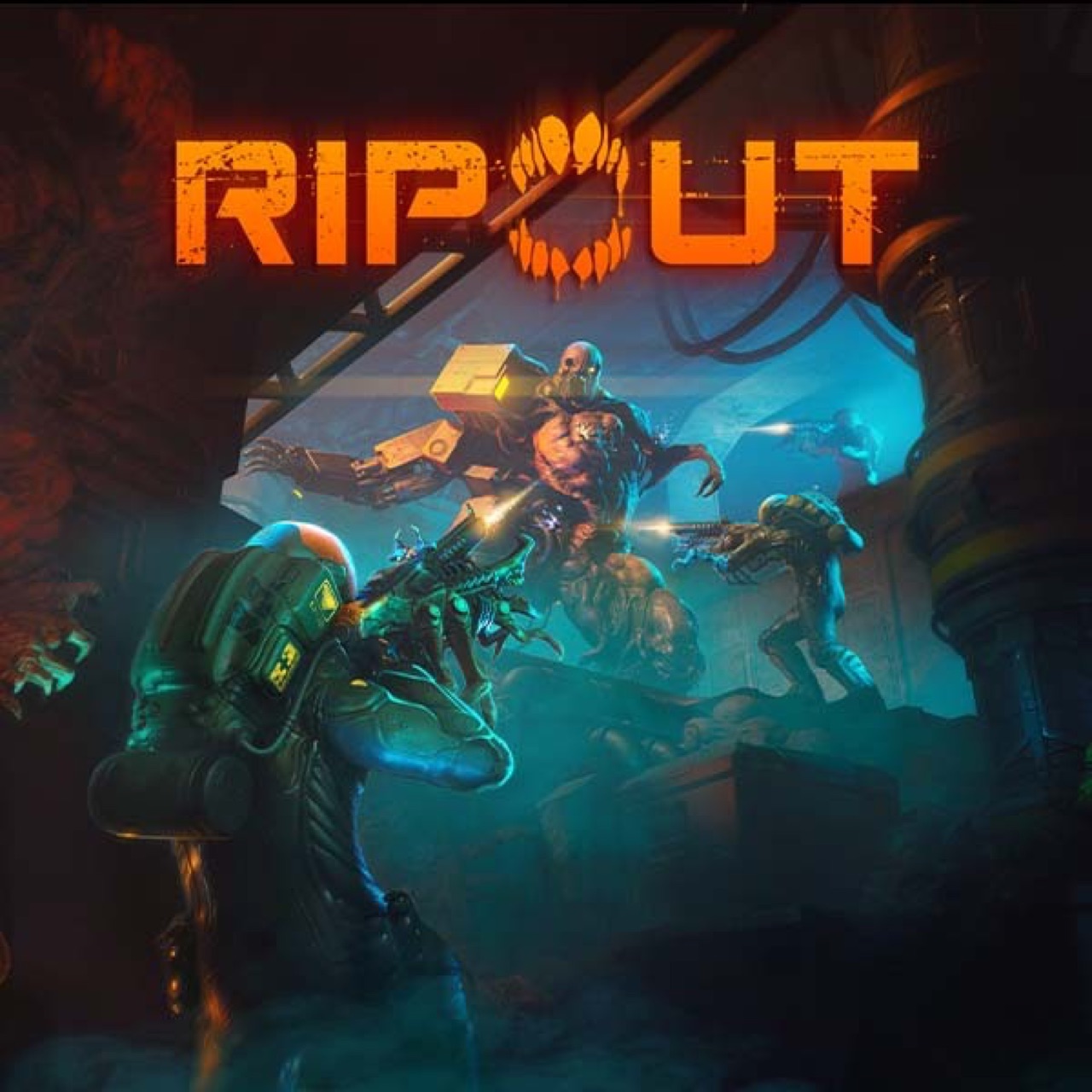 RIPOUT screenshot