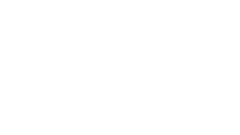 Deep Silver Volition logo