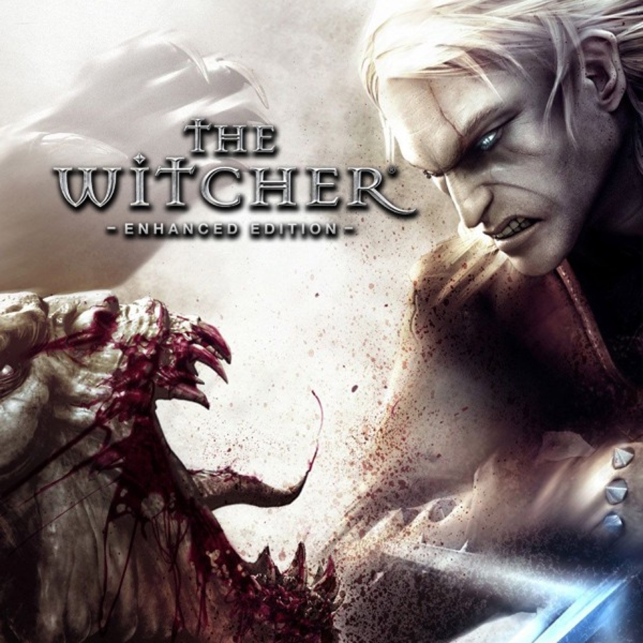 The Witcher®: Enhanced Edition Director's Cut screenshot