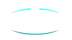 Blizzard Albany logo