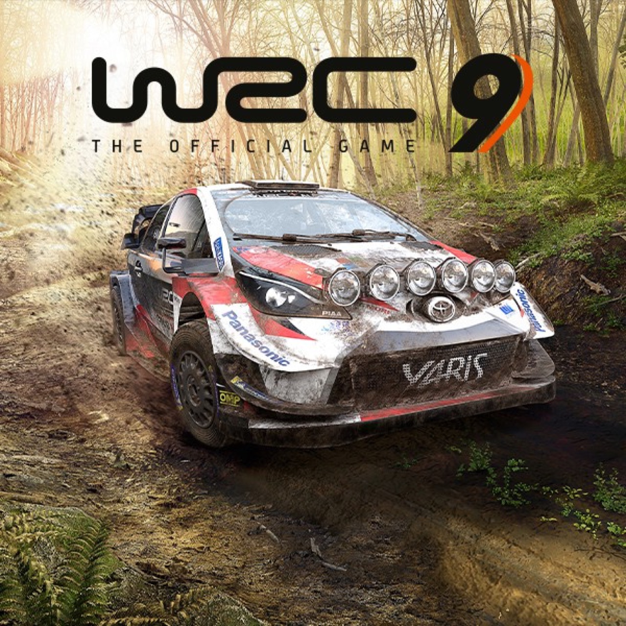 WRC 9 FIA World Rally Championship screenshot